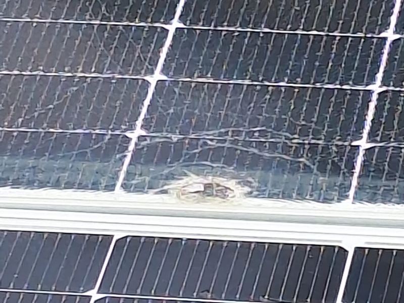 Módulo solar com vidro trincado a partir de um ponto de impacto, registrado durante a inspeção